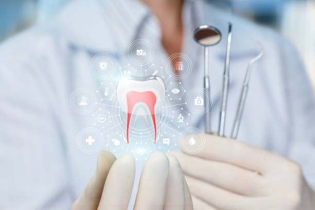 Reliable New City, NY  Holistic Dental Services Solutions